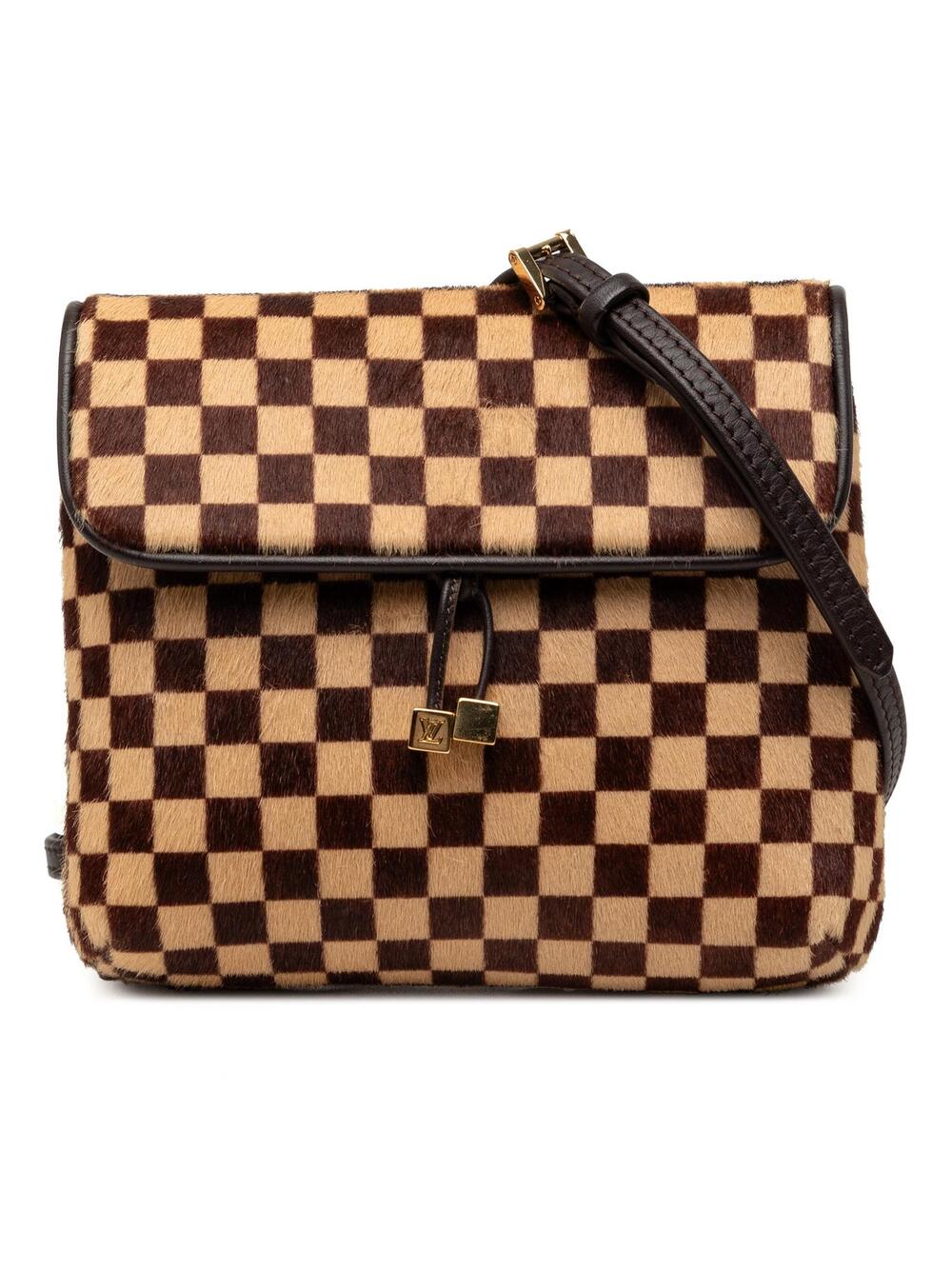Louis Vuitton Damier Sauvage Gazelle #347755L63B